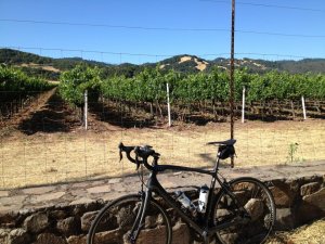 Sonoma Cycling and Vines